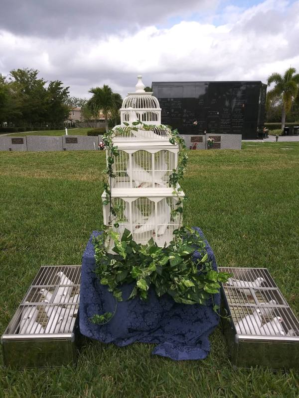 memorial dove display